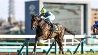 【ターコイズS予想】重賞格上げから7年 1番人気馬が苦戦傾向