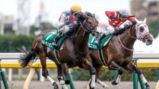 【朝日杯FS予想】馬体的には一枚上！ ダノンタッチダウンを凌ぐ勝ち負け必至の有力馬