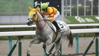 【阪神5R新馬戦結果】8番人気ルンナノオクリモノが内を突いて抜け出す