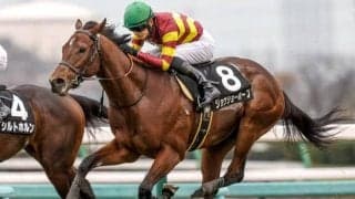 【ひいらぎ賞結果】ミッキーロケット産駒ジョウショーホープがゴール前で差し切る