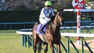 【朝日杯FS】今年も大物誕生か？ 昨年は掲示板内の5頭中4頭が後のGI馬に