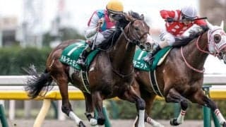 【朝日杯FS前日オッズ】ドルチェモアが3.9倍で1番人気