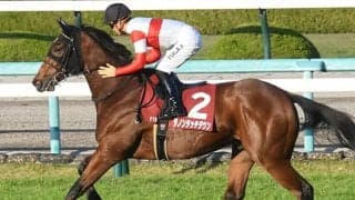 【AI予想・朝日杯FS】異次元の末脚が炸裂か!? 前走惜敗の良血馬が兄に続くGI制覇へ