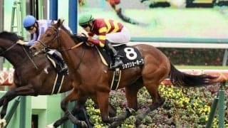 【ひいらぎ賞】ミッキーロケット産駒 ジョウショーホープが2勝目