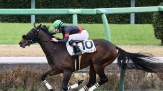 【新馬/中山6R】ロードカナロア産駒 アフトクラーティラがデビューV