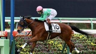 【新馬/中山5R】セリオーソが3馬身差完勝