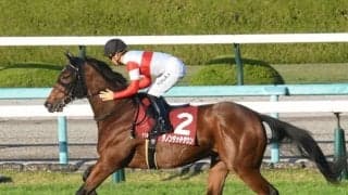 【今日の注目ポイント】阪神で2歳マイル王決定戦の朝日杯FS