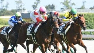 【朝日杯FS予想】過去10年勝利するのは前走1着馬限定？ 迷ったら内枠の関西馬勝負で