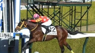 【阪神6R新馬戦結果】5番人気ユイノマチブセが7馬身差の圧勝