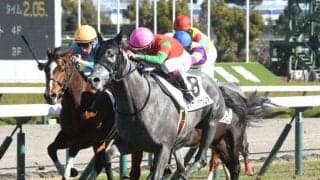 【阪神5R新馬戦結果】ゴールドシップ産駒マイネルラウレアがゴール寸前で差し切る