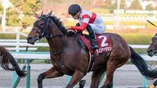 【朝日杯FS・馬体重】ダノンタッチダウンは536kg(-2)、ドルチェモアは474kg(+2)