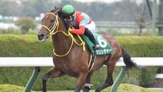 重賞5勝の古豪が競走馬登録を抹消 今後は馬事公苑で乗馬に