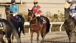 クリンチャーが競走馬登録抹消