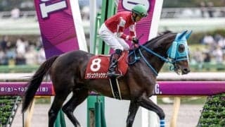 【中山大障害】オジュウチョウサン、ゼノヴァースらが登録