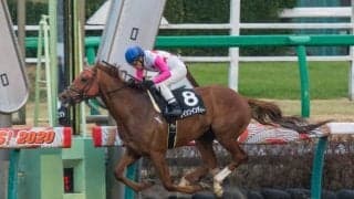 12月18日の競走除外、疾病等の一覧 中山4Rで2頭が競走中止/中山・阪神・中京