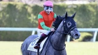 【新馬/阪神5R】ゴールドシップ産駒 マイネルラウレアが直線一気で差しきる