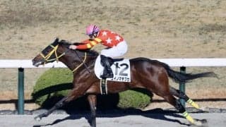 【新馬/阪神6R】ユイノマチブセが7馬身差圧勝