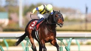 金鯱賞など重賞2勝のギベオンが競走馬登録を抹消 社台ファームで乗馬に