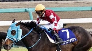 【中山大障害登録馬】オジュウチョウサンなど11頭