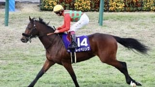 【朝日杯FS】横山武「キャリア2戦目ですごい馬」レース後ジョッキーコメント