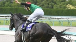 【有馬記念見どころ】ファン投票1位タイトルホルダーの春秋グランプリ連覇なるか