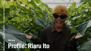 伝統的サーフコンテスト「Vansパイプマスターズ」に伊東李安琉が出場！