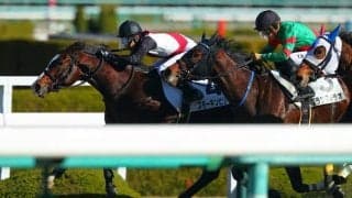 【阪神2R】武豊 スモーキンビリーが初勝利