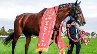 府中牝馬Sでは白毛の女王に勝利 暮れの大一番でも波乱を起こせるか