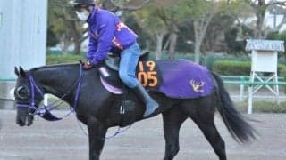兄は年度代表馬エフフォーリア ペリファーニアが横山武史騎手でデビュー/関東馬メイクデビュー情報