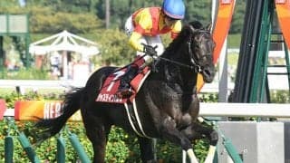 【AI予想・有馬記念】波乱の使者は3歳馬!? カギとなるのは世代レベルか