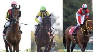 クリンチャー、ギベオン、ケイデンスコールらがJRA登録を抹消