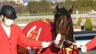 優秀な勝ち上がり率を誇る母 まだまだ大物が期待出来るアユサン