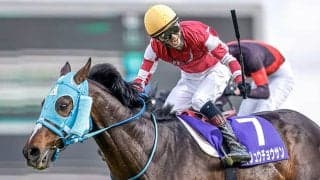 【中山大障害想定騎手】障害GI・10勝目を狙うオジュウチョウサンは石神深一騎手、今年の東京HJ覇者ゼノヴァースは森一馬騎手