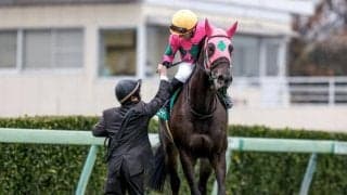 ミスニューヨークが連覇達成 時計の掛かる馬場に強いキングズベストの血が輝く