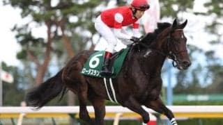 【阪神C展望】1番人気が苦戦傾向の一戦、好走の条件とは