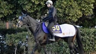 有馬記念でタイトルホルダーの大逃げは見られるのか。凱旋門賞惨敗の影響を探る