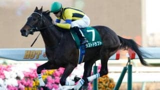 3度目のGI挑戦 充実の3歳シーズン呼び起こす走りを