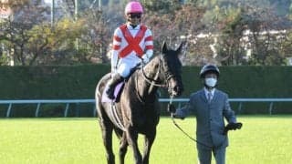 【有馬記念】GI馬アカイイトが再び参戦 衝撃の末脚炸裂なるか