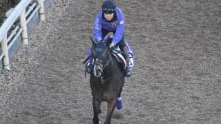 ディヴィーナなど、先週の入厩情報/栗東トレセンニュース