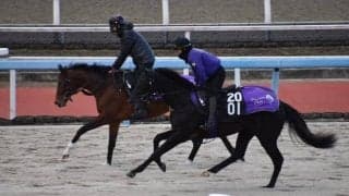 オクタグラムなど、先週のゲート試験/栗東トレセンニュース