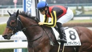 【阪神C予想オッズ】グレナディアガーズが予想1番人気