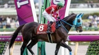 【中山大障害予想オッズ】オジュウチョウサンが予想1番人気