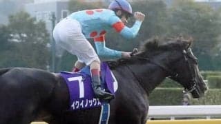 有馬記念で勝つのはどの馬か。識者５人が現時点で選んだ「ベスト３」