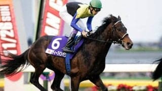 海外競馬メディア『TDN』の一面にディープインパクト関連のニュースが掲載