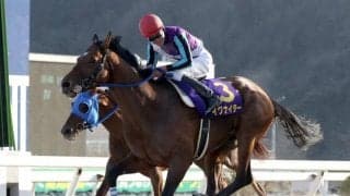 【兵庫ゴールドT注目馬】ダート短距離戦線を締めくくるJpnIIIに「兵庫の雄」イグナイター登場