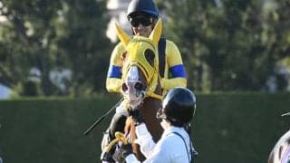 福永騎手ラスト有馬記念のパートナーに注目 6戦連続上がり最速の末脚自慢