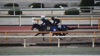 ジェラルディーナ、有馬記念最終追い切り速報/栗東トレセンニュース