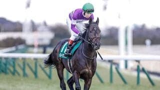 安田記念1人気イルーシヴパンサー、マイル初挑戦のオニャンコポンなど京都金杯に挑む