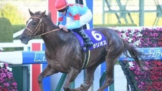 2019年朝日杯FS覇者サリオスが競走馬登録を抹消 今後は社台SSで種牡馬に