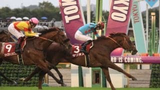 サリオスが競走馬登録抹消